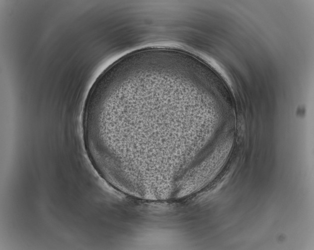 X0000096980959200802291143