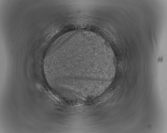 X0000096980961200802291142