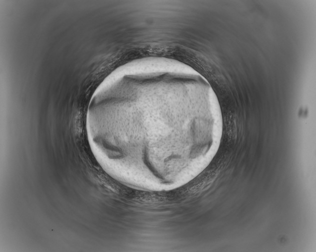 X0000096980962200802291142