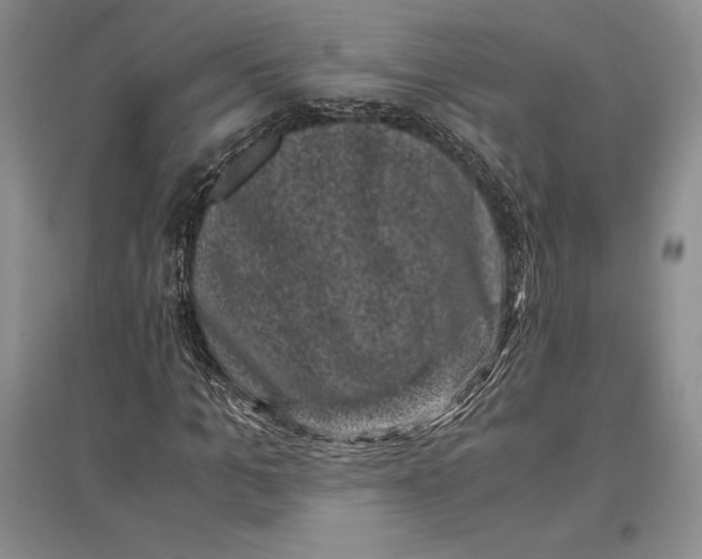 X0000096980965200802291142