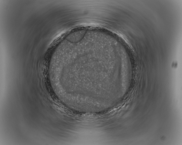 X0000096980967200802291142