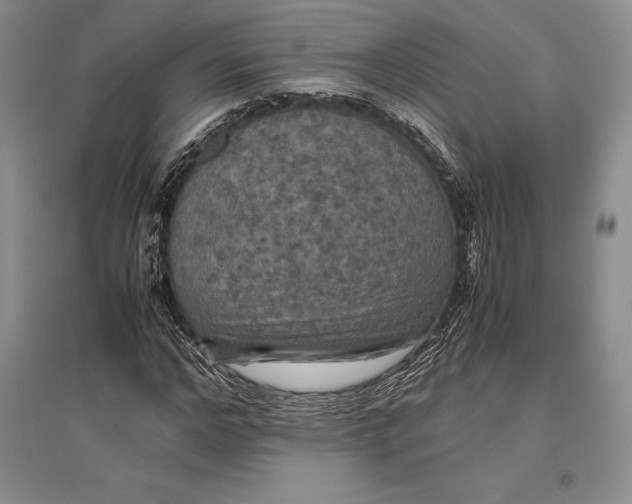 X0000096980968200802291142