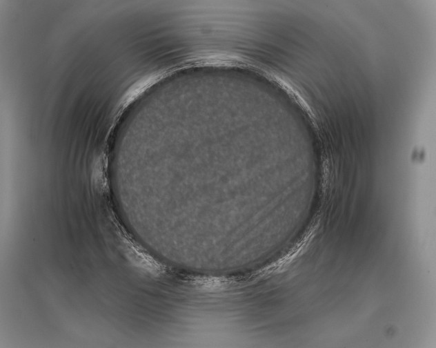 X0000096980970200802291142