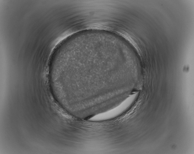 X0000096980971200802291142