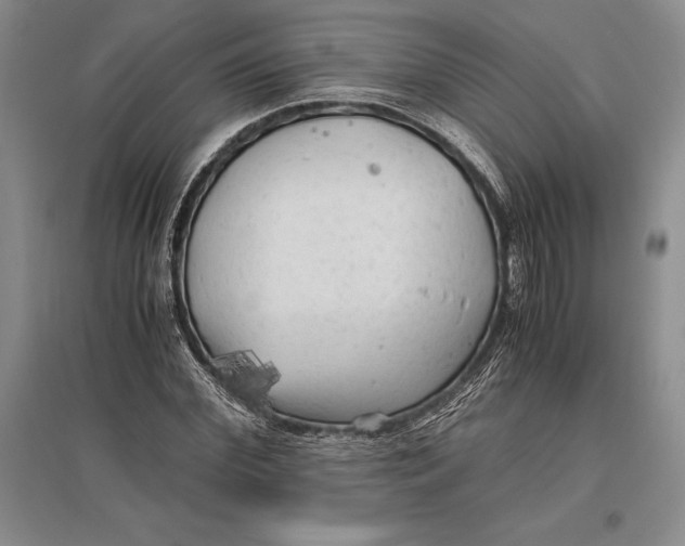 X0000096980972200802291142