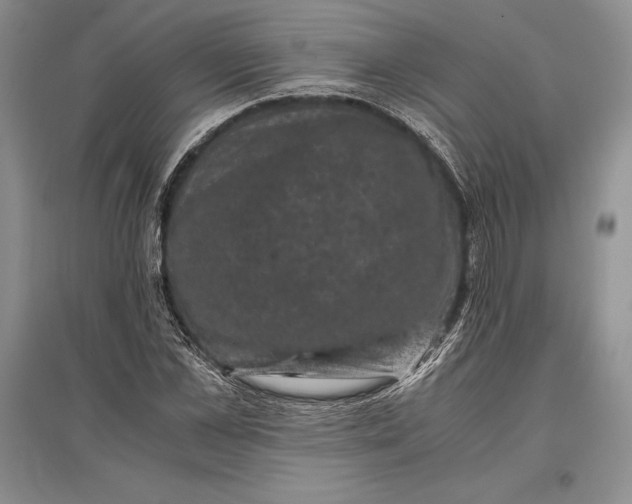 X0000096980973200802291142