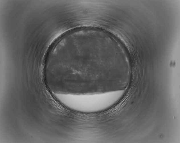 X0000096980975200802291142