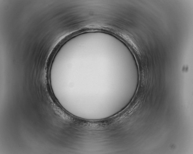 X0000096980976200802291142