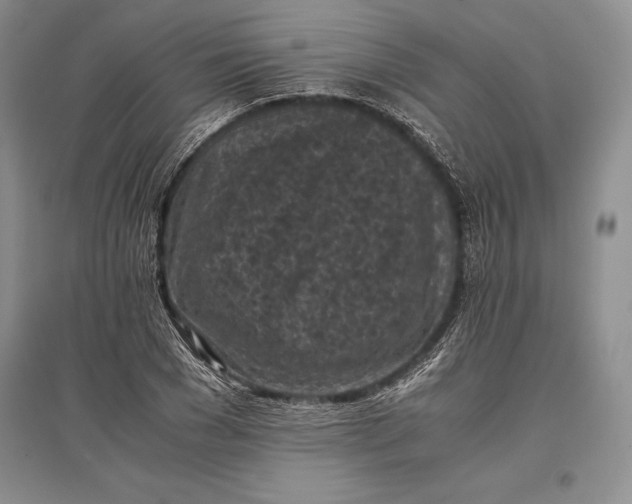 X0000096980977200802291142