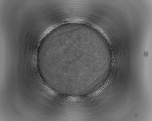 X0000096980978200802291142