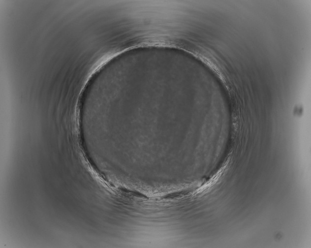 X0000096980981200802291142