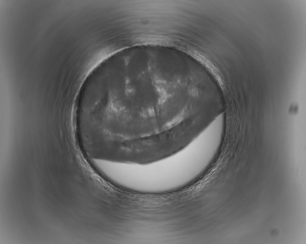 X0000096980983200802291142