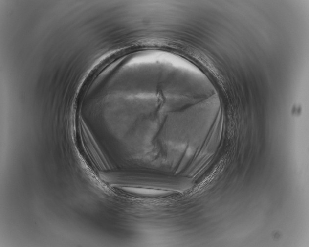 X0000096980984200802291142