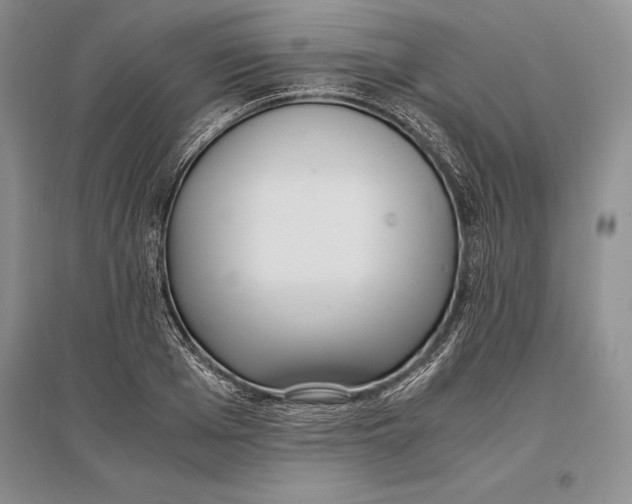 X0000096980985200802291142