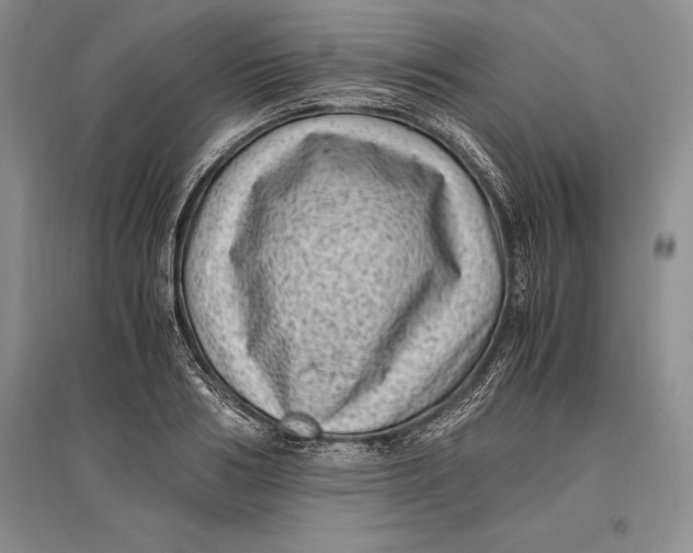 X0000096980986200802291142