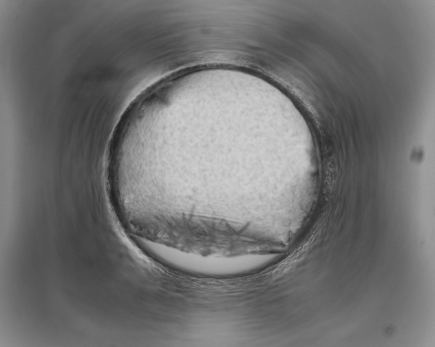 X0000096980991200802291142