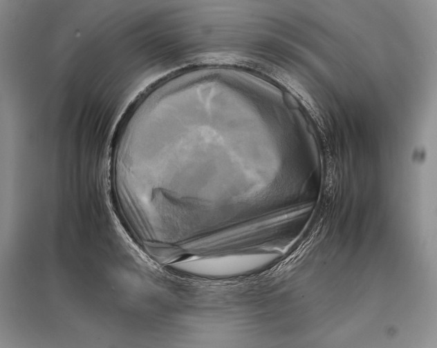 X0000096980992200802291142