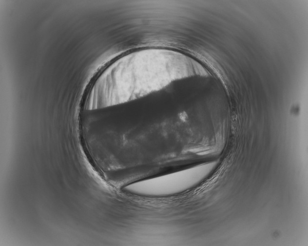 X0000096980995200802291141