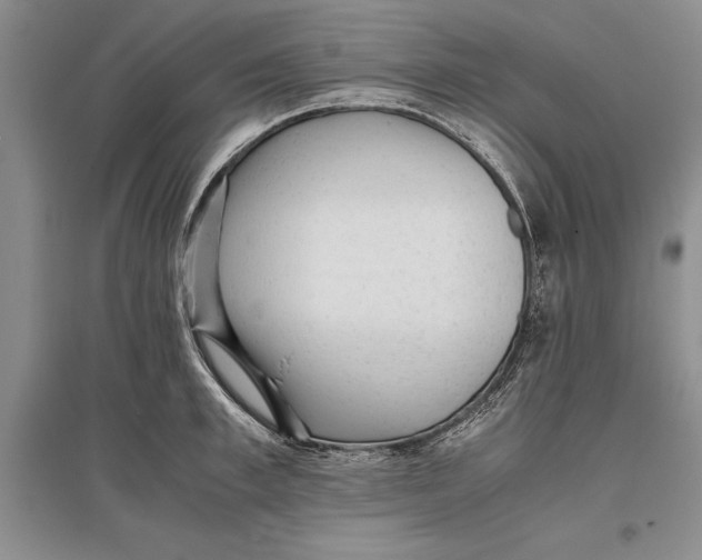 X0000096980997200802291141