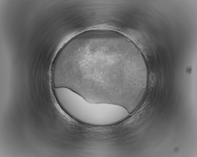 X0000096980998200802291141