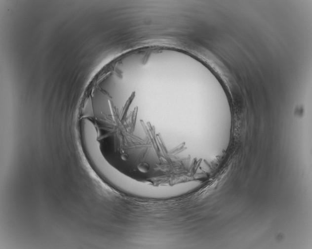 X0000096980999200802291141