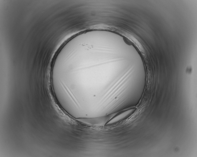 X0000096981000200802291141