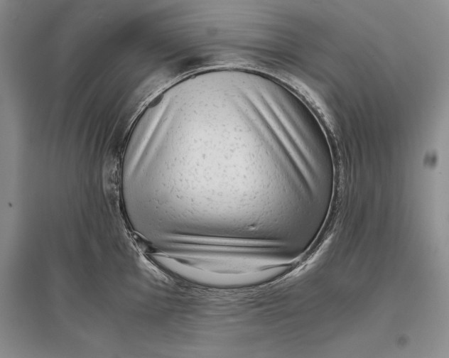 X0000096981001200802291141