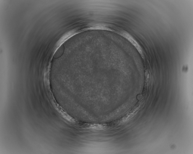 X0000096981002200802291141