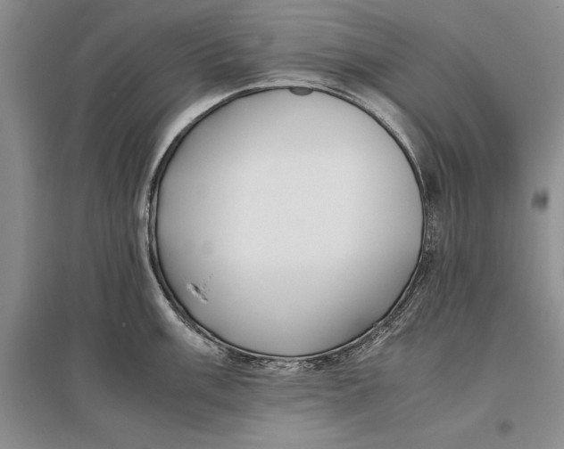 X0000096981003200802291141