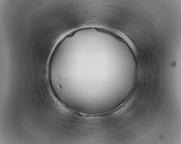 X0000096981004200802291141