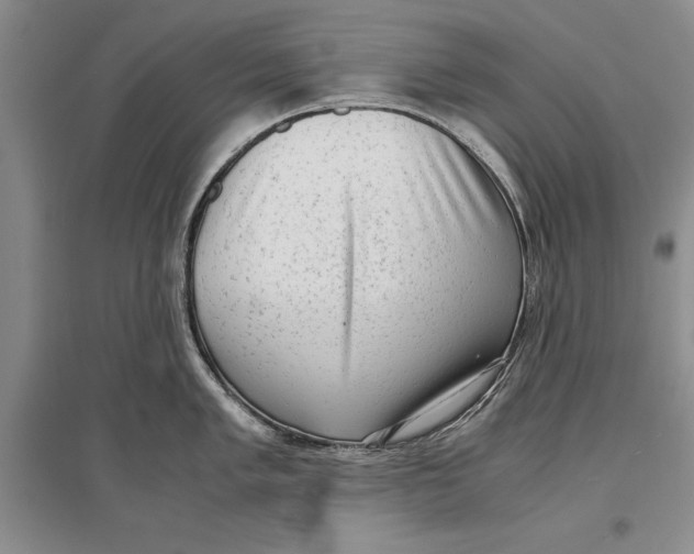 X0000096981005200802291141