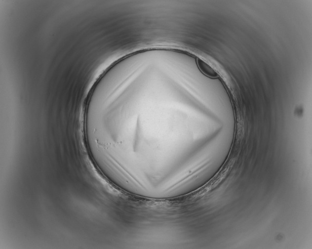 X0000096981006200802291141