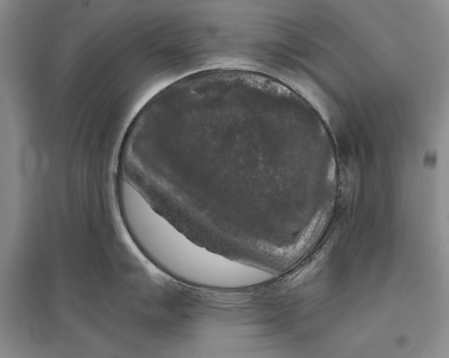 X0000096981007200802291141