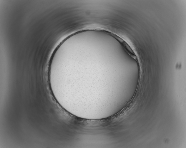 X0000096981008200802291141