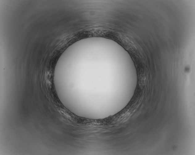 X0000096981010200802291140