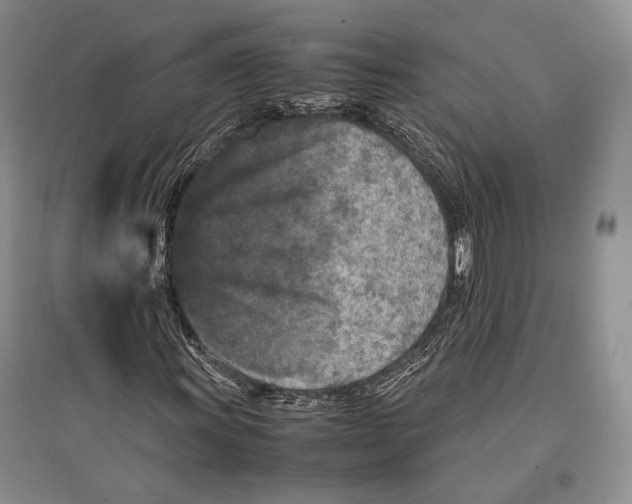 X0000096981011200802291140