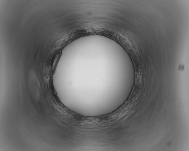 X0000096981012200802291140