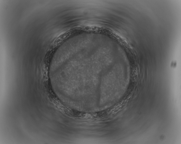 X0000096981013200802291140