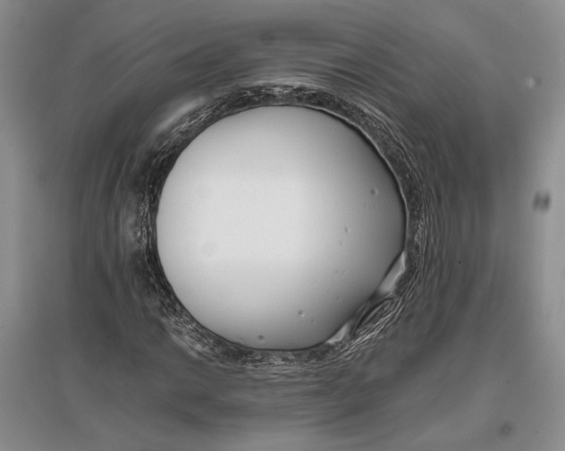 X0000096981014200802291140