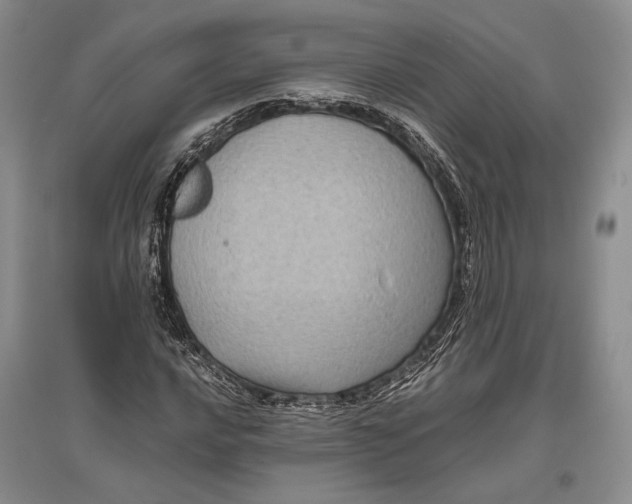 X0000096981016200802291140