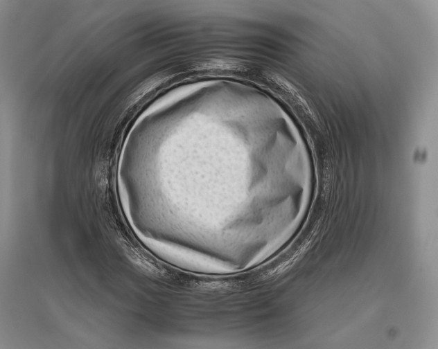 X0000096981017200802291140