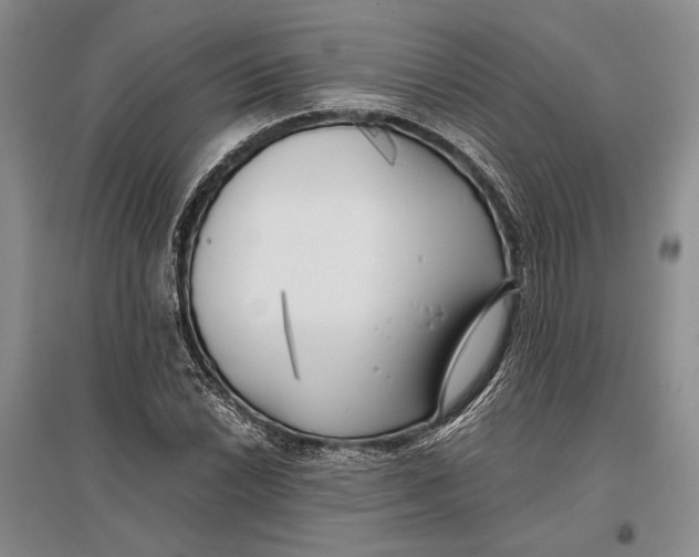 X0000096981022200802291140