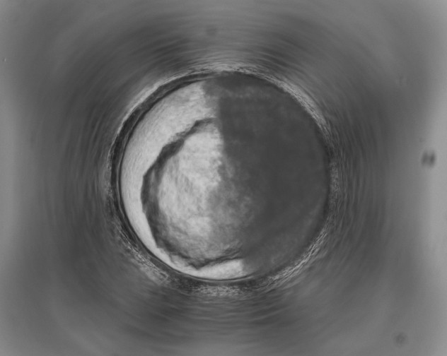 X0000096981023200802291140