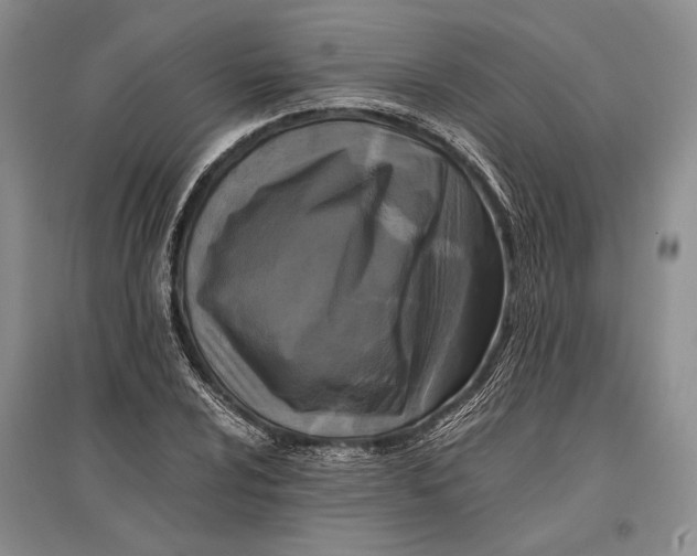 X0000096981024200802291141