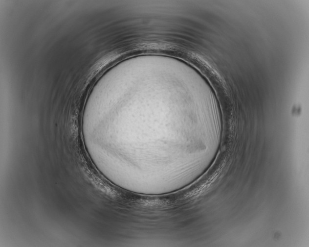 X0000096981025200802291141