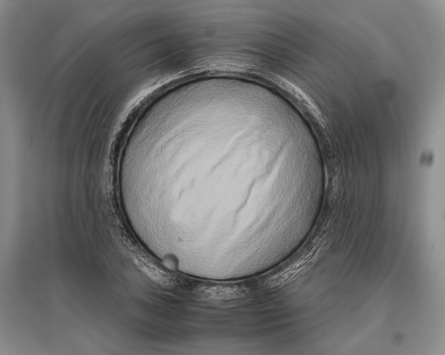 X0000096981027200802291141