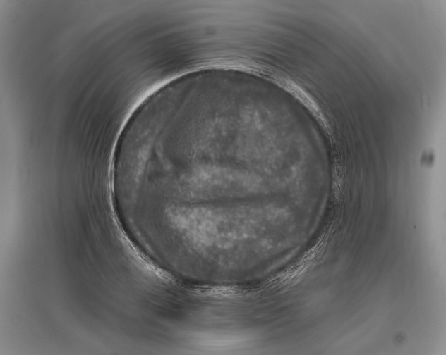 X0000096981028200802291141