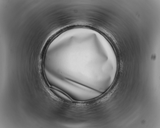 X0000096981029200802291141