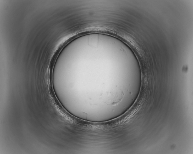 X0000096981030200802291141