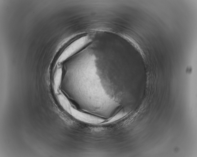 X0000096981031200802291141